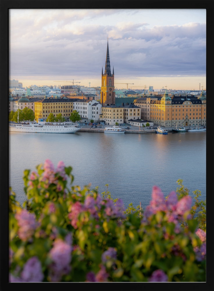 Stockholm Golden Hour Lilacs