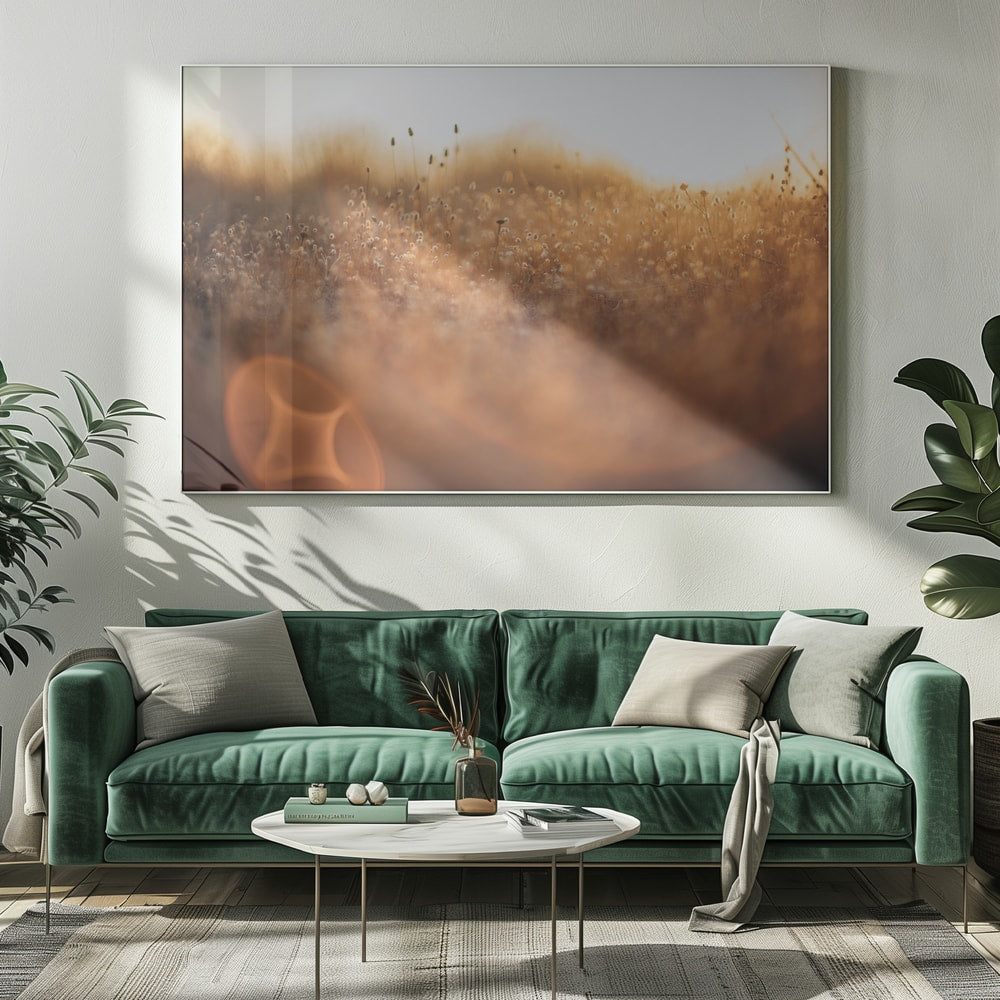 Golden Meadow Light