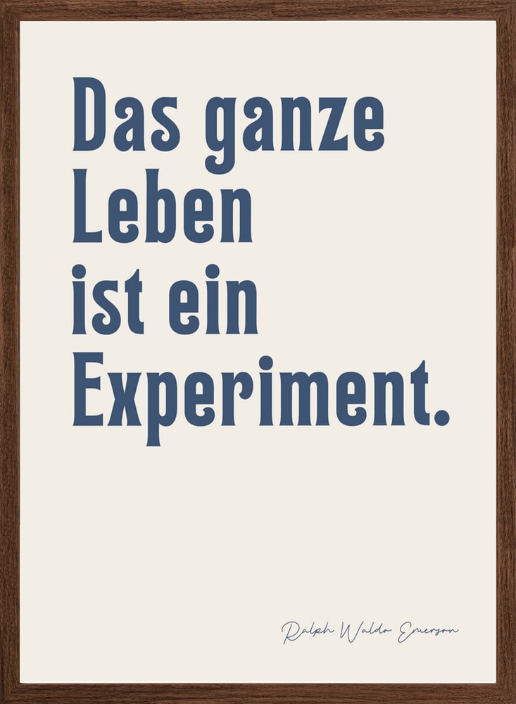 Life Is An Experiment