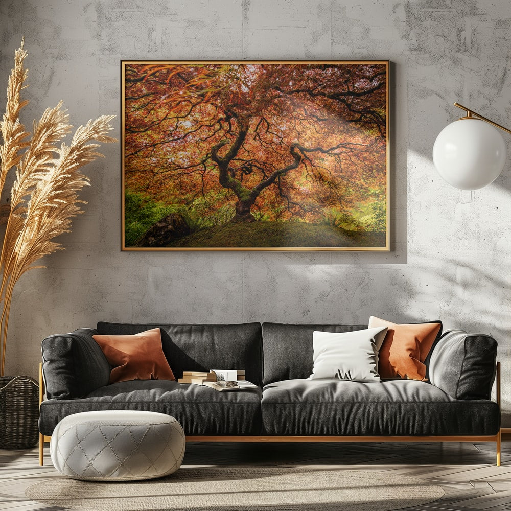 Autumn Maple Glow