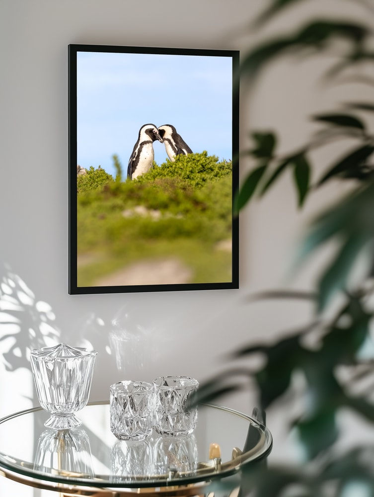 Penguin Couple Kissing