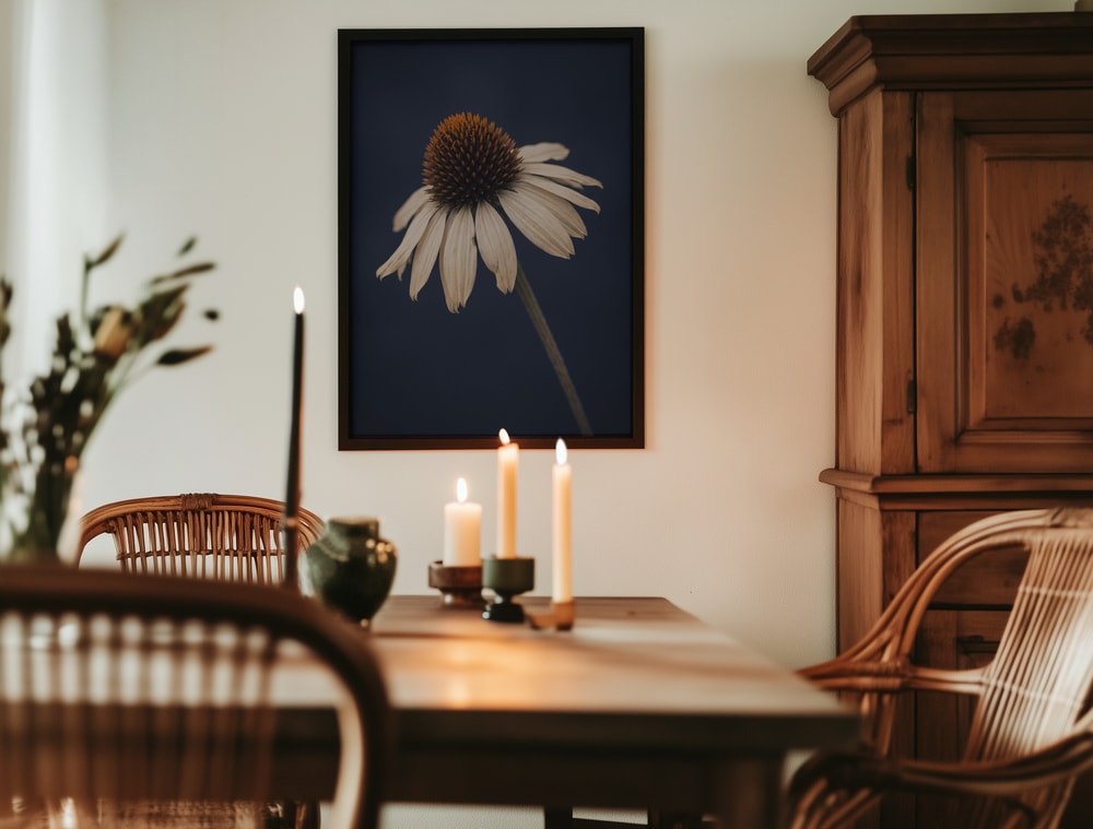 Elegant White Coneflower