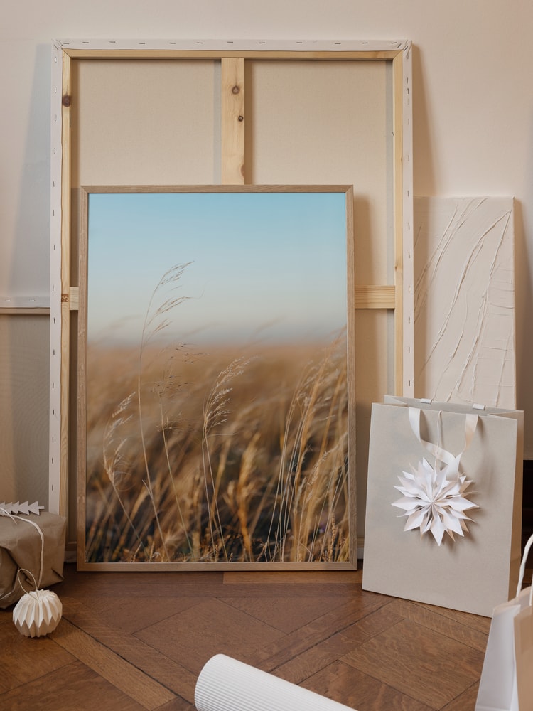 Golden Hour Field