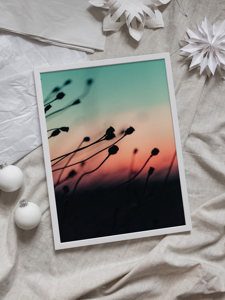 Sunset Plant Silhouettes