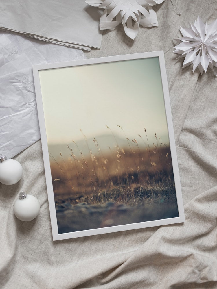 Serene Golden Field