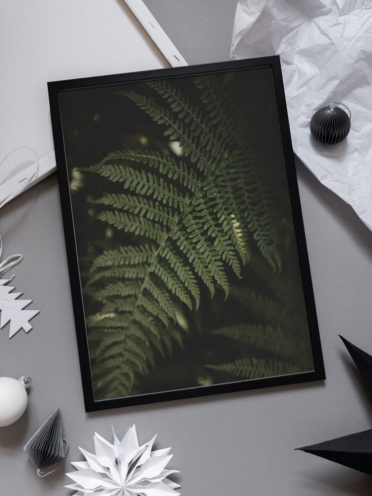 Lush Forest Fern