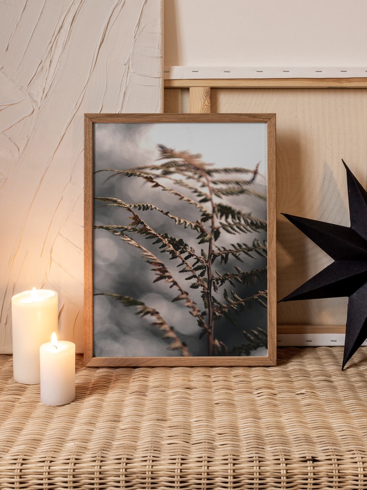 Delicate Autumn Fern