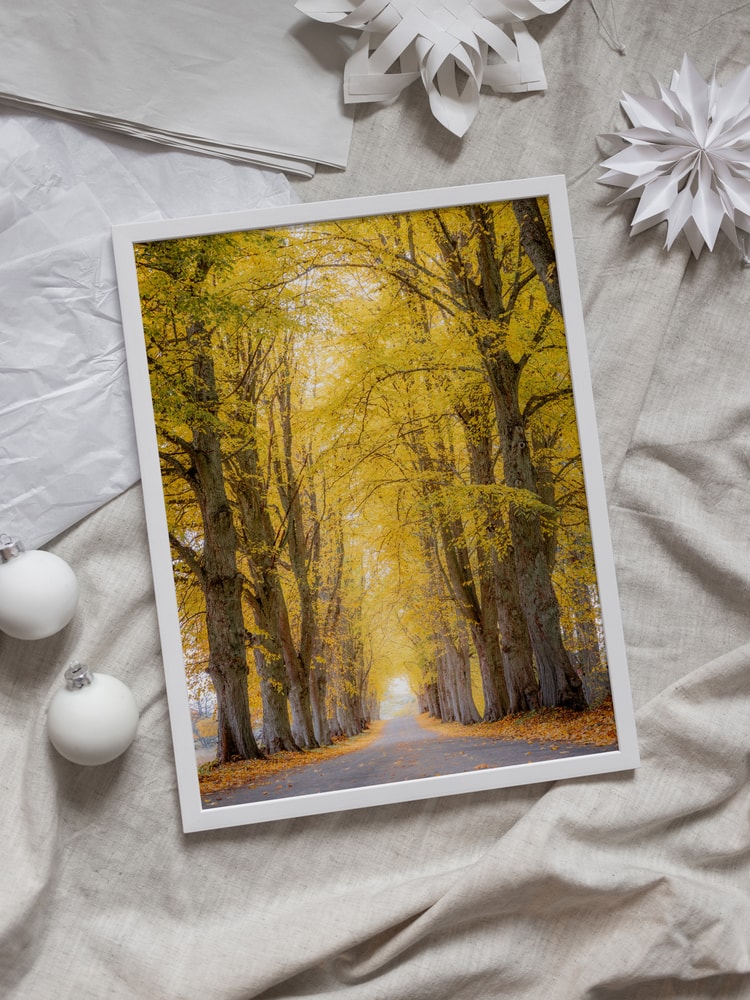 Golden Autumn Avenue