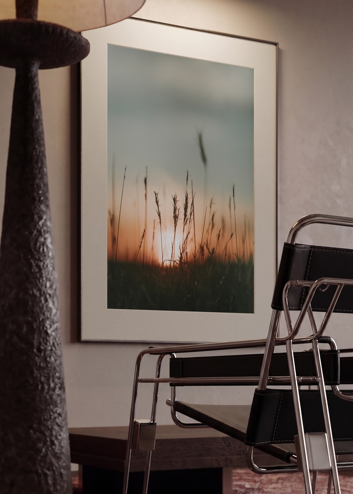 Golden Hour Field Grass