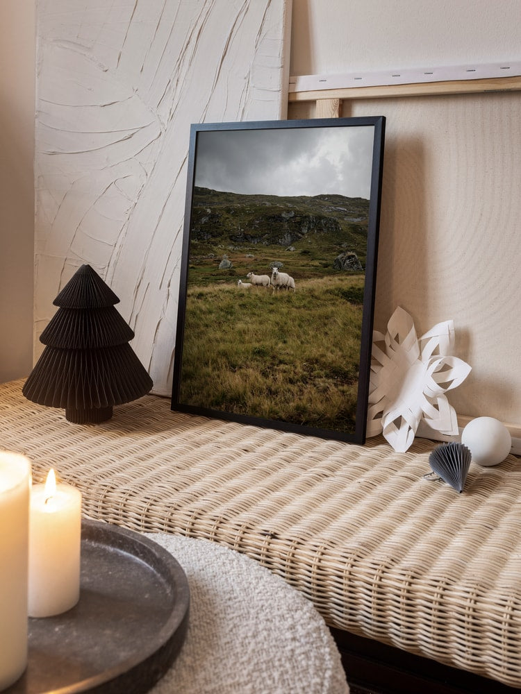 Three Sheep Highlands