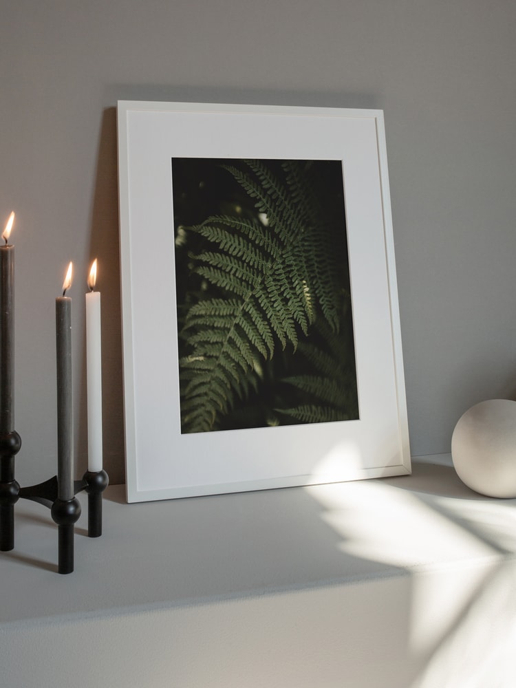 Lush Forest Fern