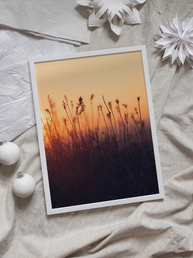 Golden Hour Field