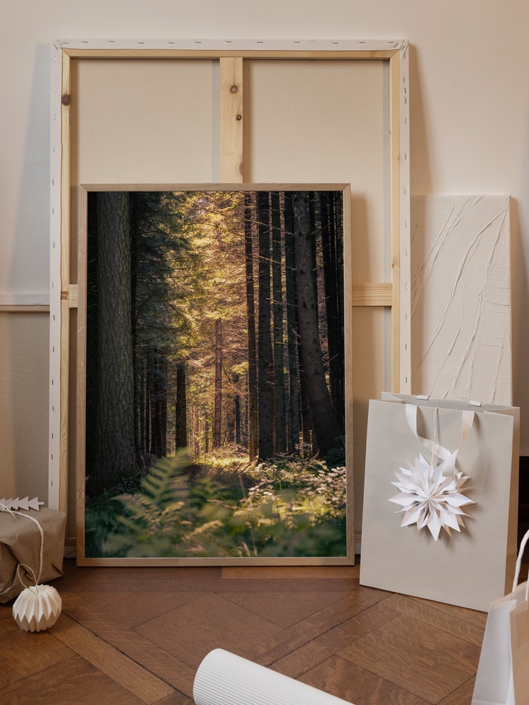 Sunbeams in the forest