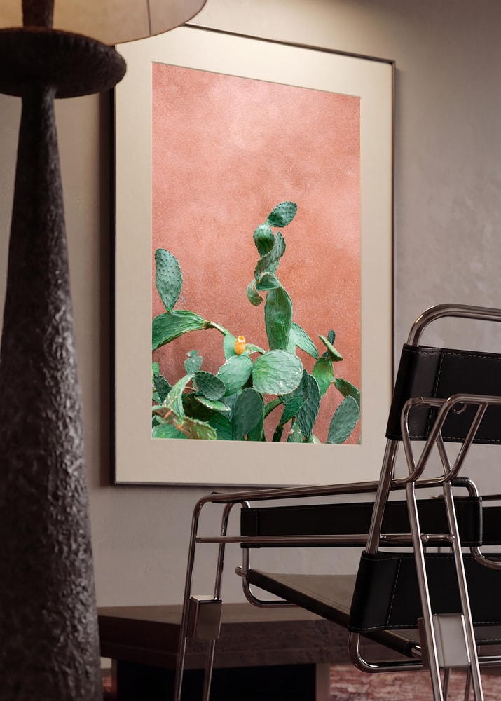 Prickly Pear Terracotta Wall