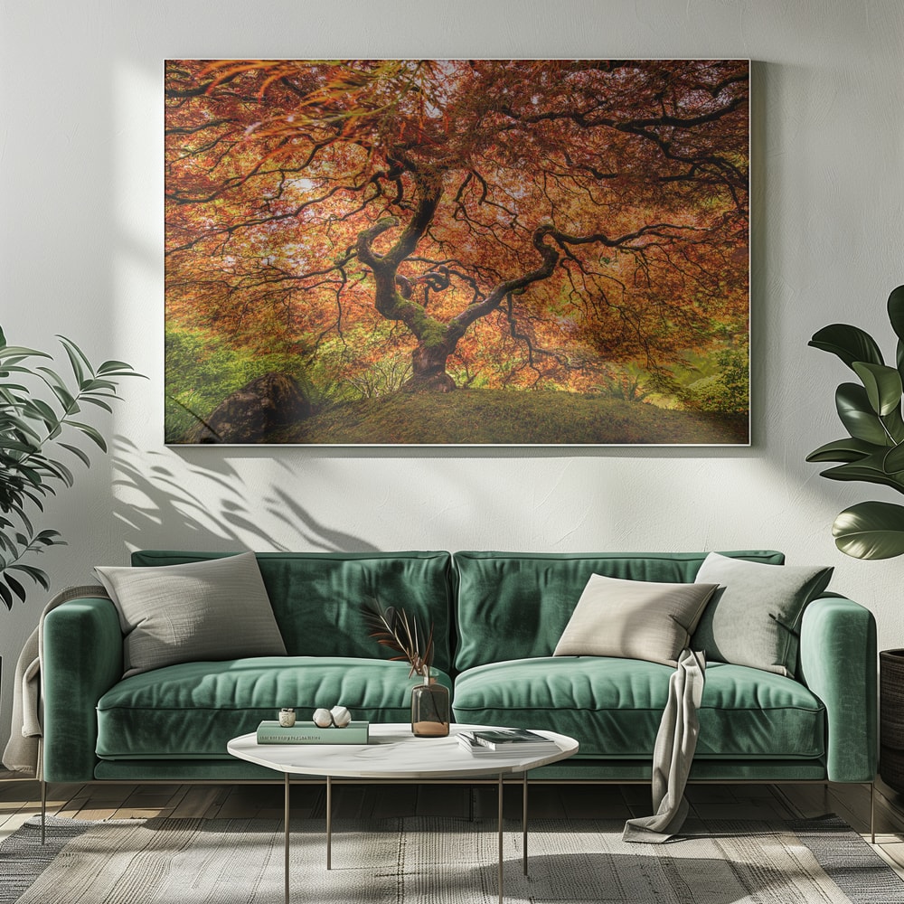 Autumn Maple Glow