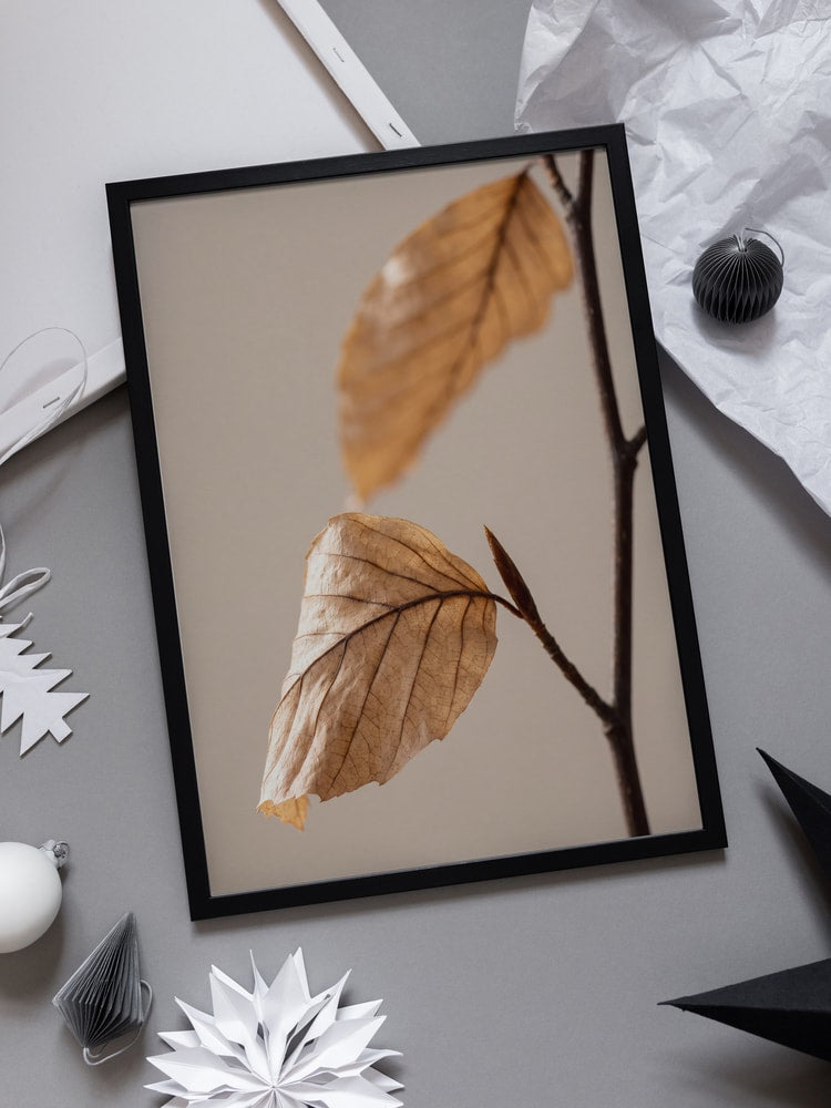 Autumn Dried Leaves