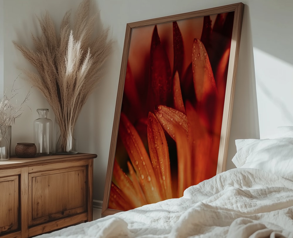 Dew Kissed Orange Petals