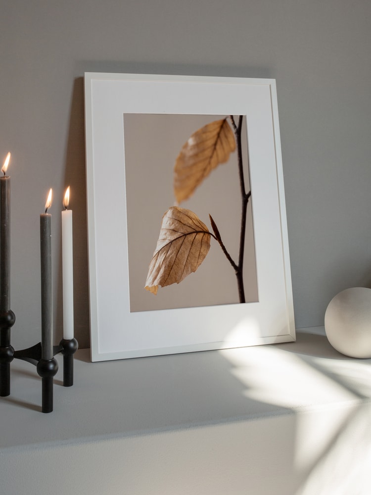 Autumn Dried Leaves