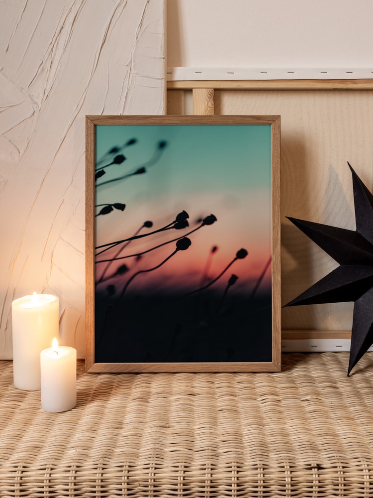 Sunset Plant Silhouettes