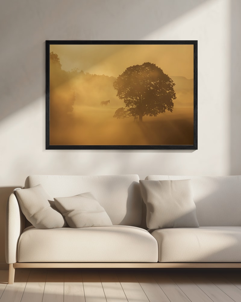 Golden Morning Mist