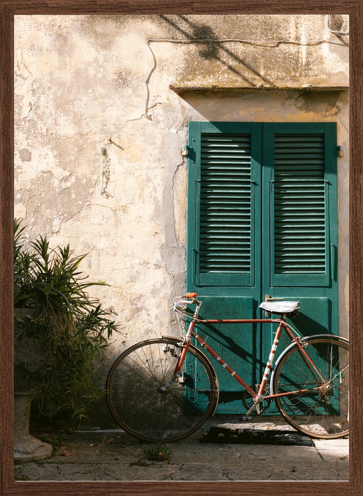 Charming Bicycle Green Shutters