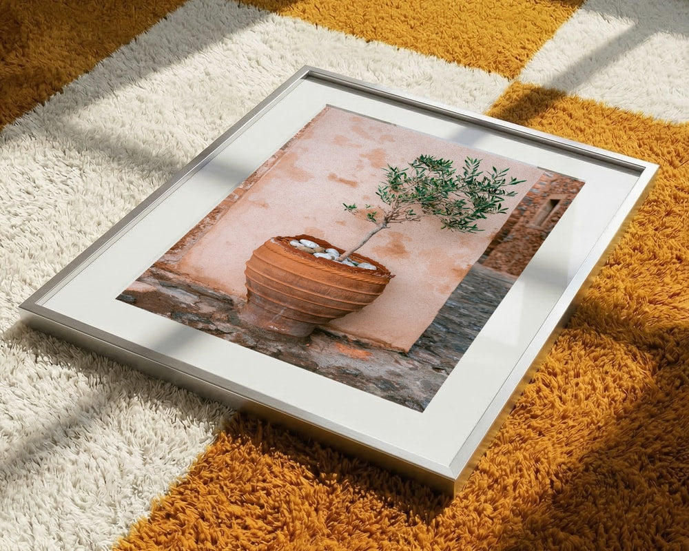 Rustic Potted Olive Tree