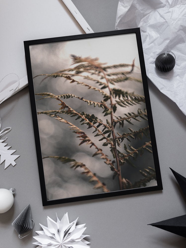 Delicate Autumn Fern