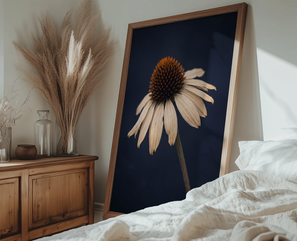 Elegant White Coneflower