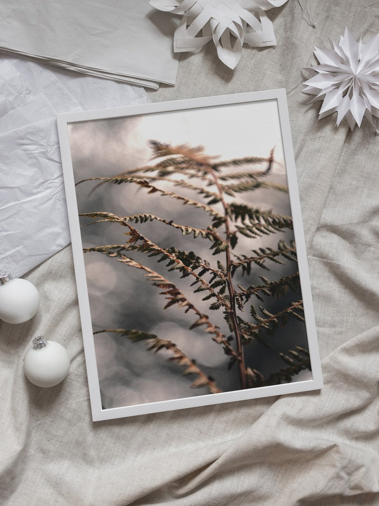 Delicate Autumn Fern
