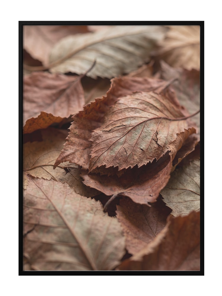 Earthy Autumn Leaves