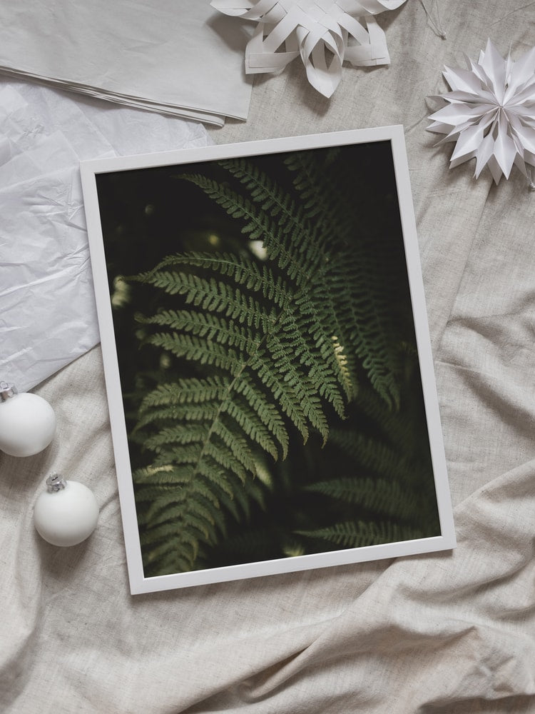 Lush Forest Fern