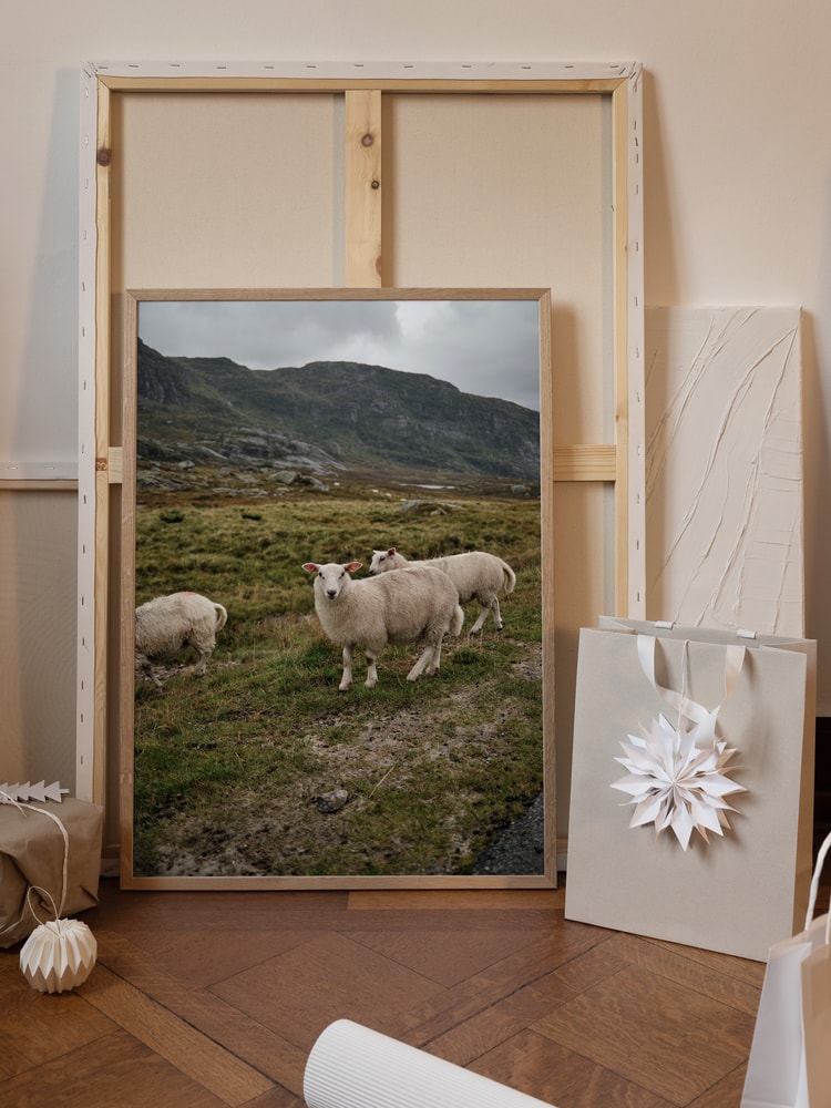 Sheep in Mountain Landscape