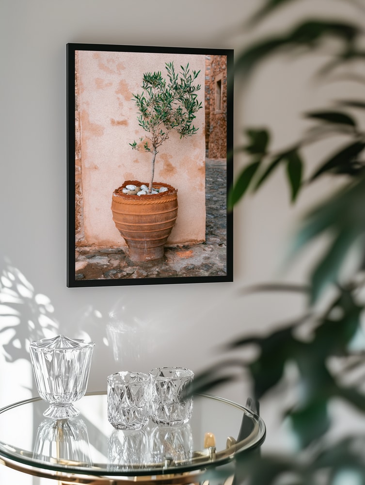 Rustic Potted Olive Tree