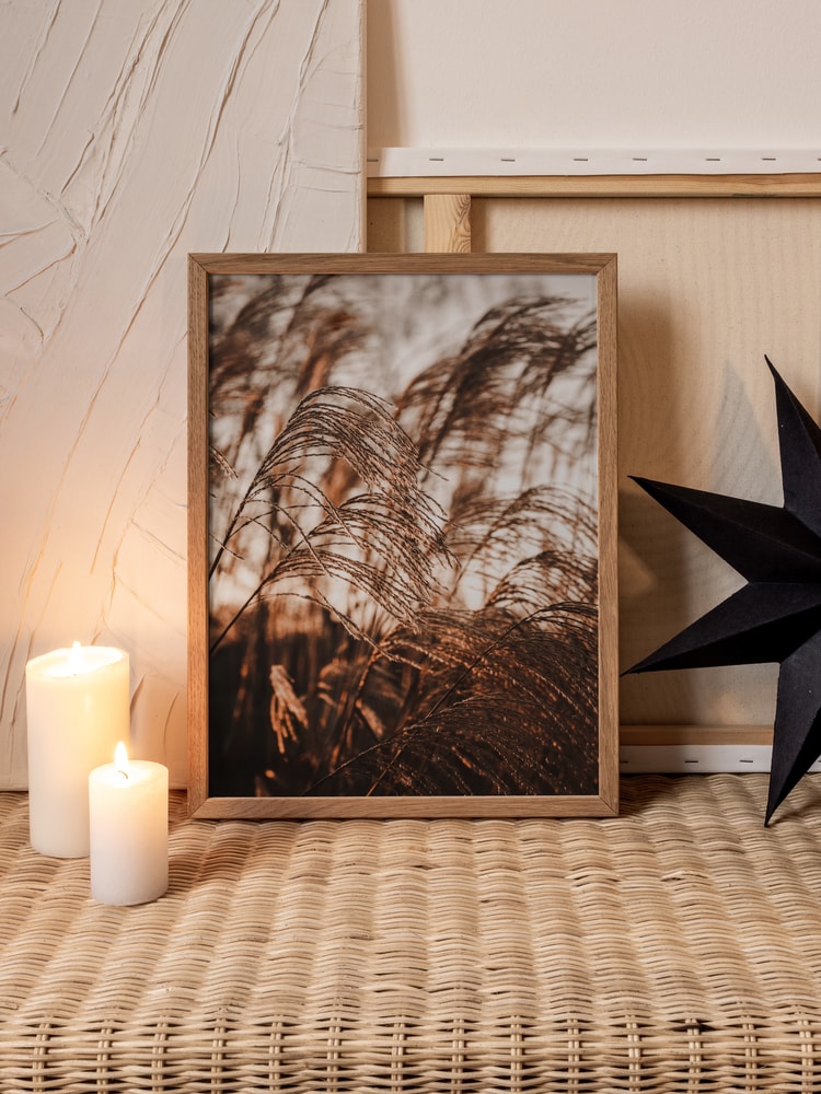 Swaying Pampas Grass