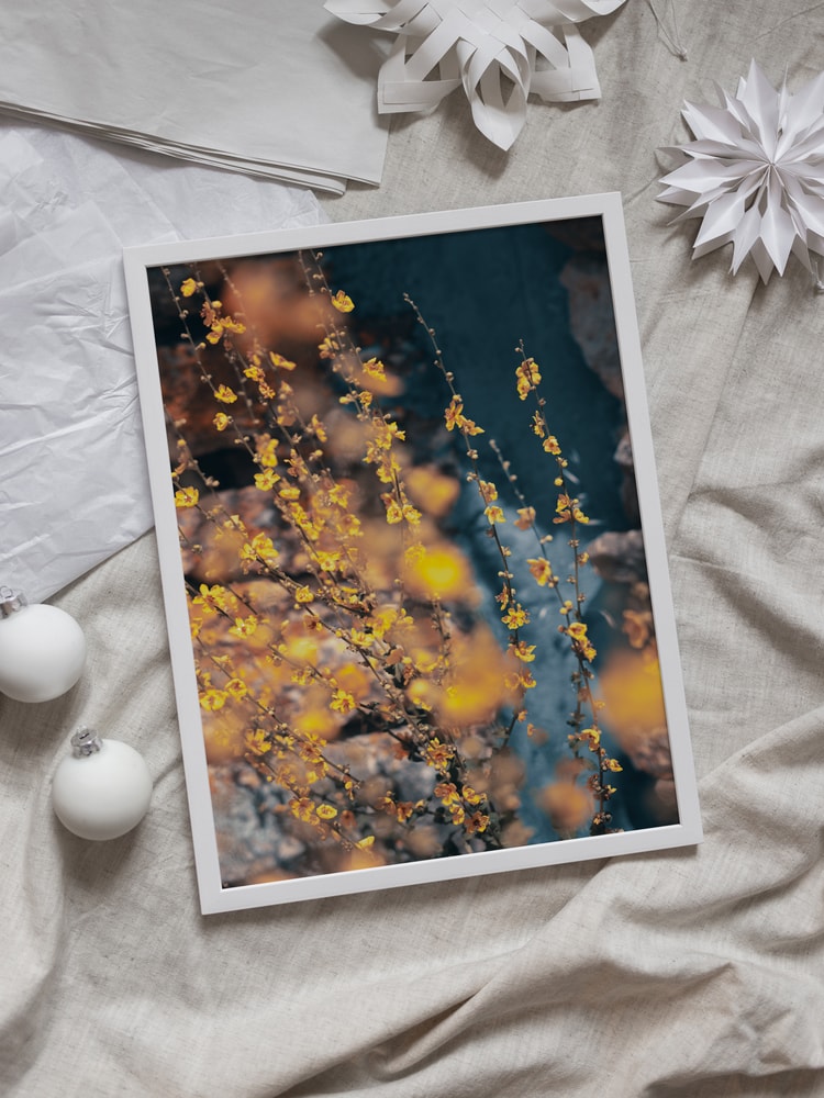Soft Yellow Blossoms