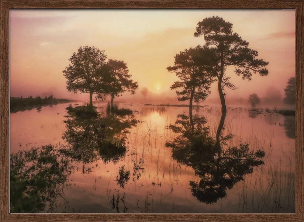 Misty Morning Reflections