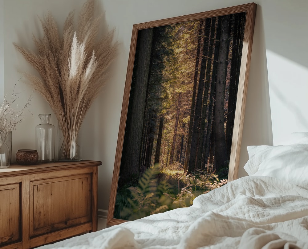 Sunbeams in the forest