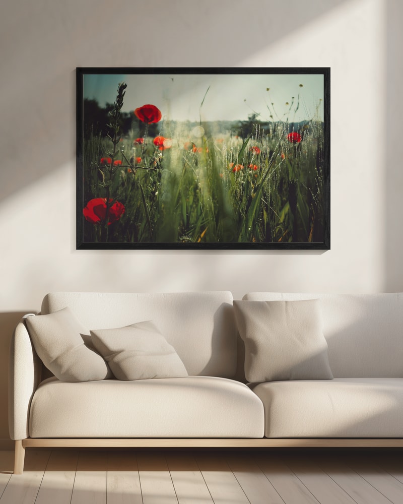 Dewy Poppy Meadow