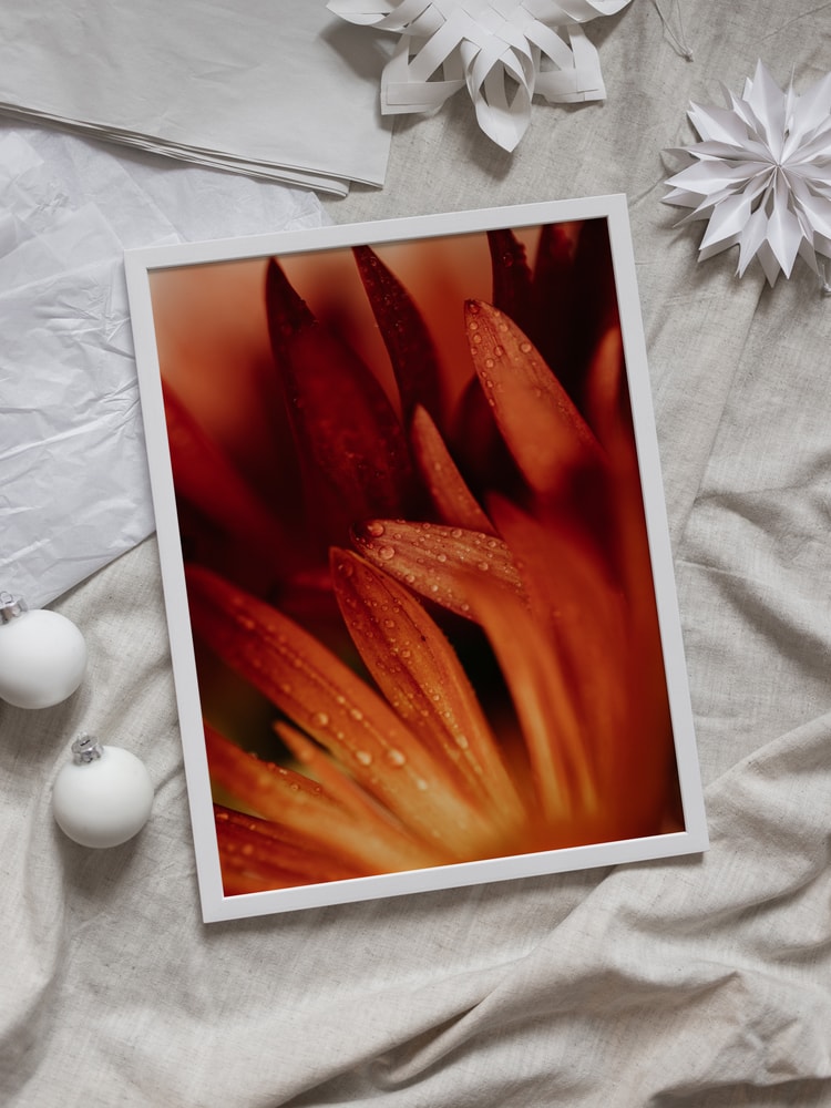 Dew Kissed Orange Petals
