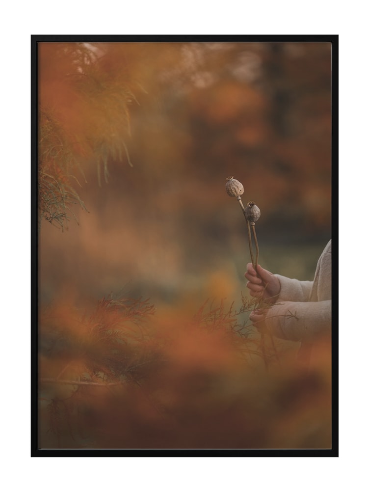 Autumn Poppy Hands