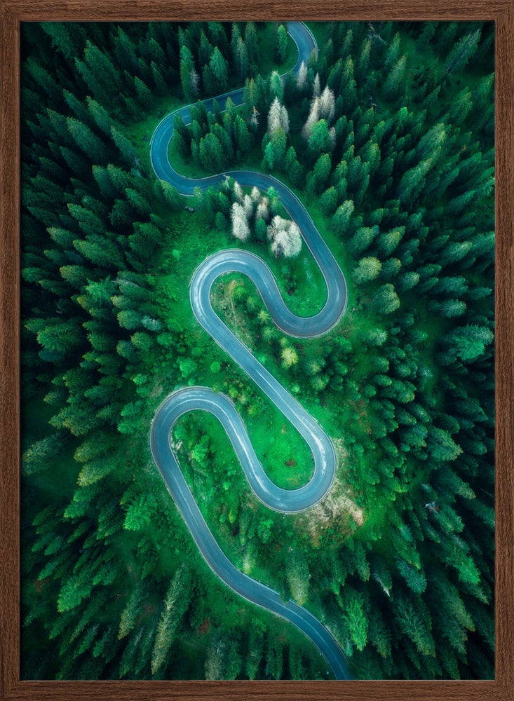 Winding Forest Road