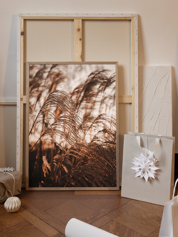 Swaying Pampas Grass