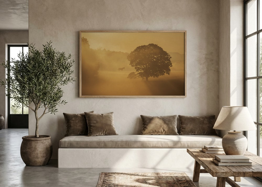 Golden Morning Mist