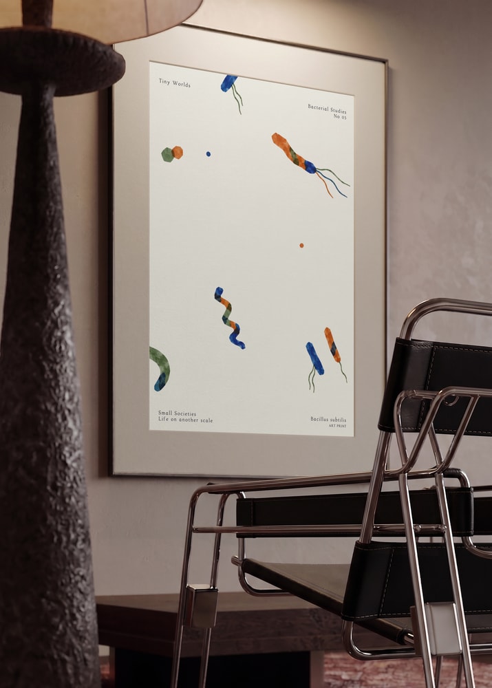 Tiny Worlds Bacterial Study
