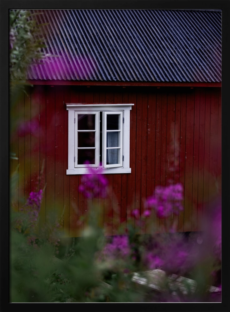 My Lofoten Diary 4