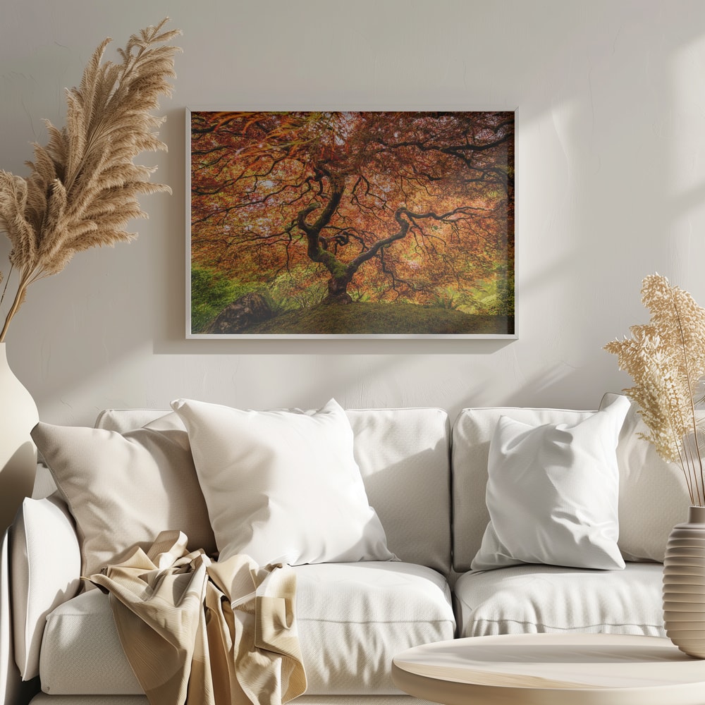 Autumn Maple Glow