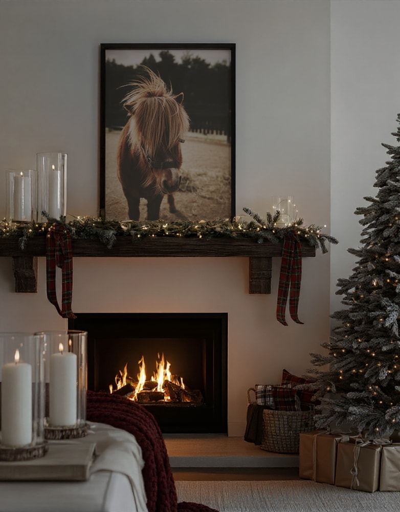 Adorable Shaggy Pony