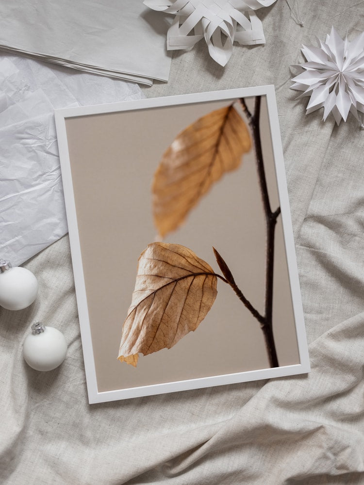 Autumn Dried Leaves