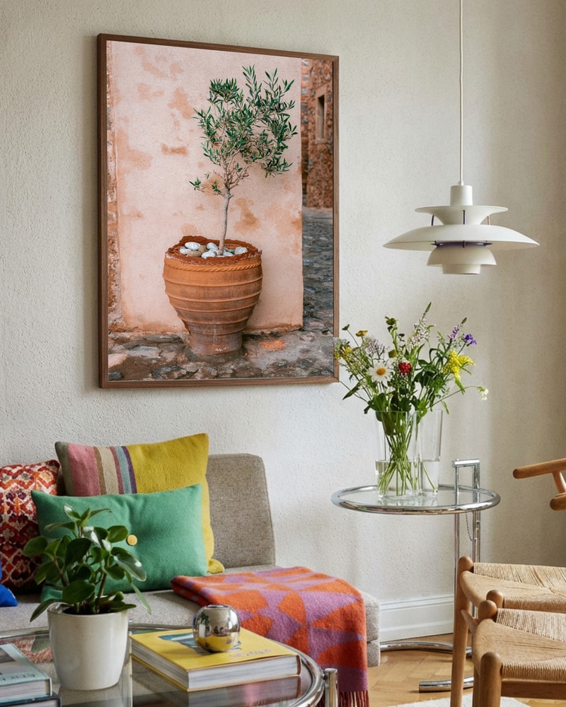Rustic Potted Olive Tree