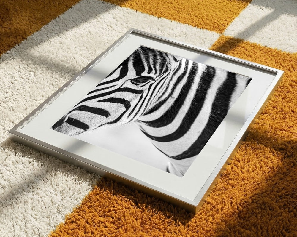 Black And White Zebra